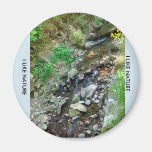 Magnesium am Kühlschrank Magnet