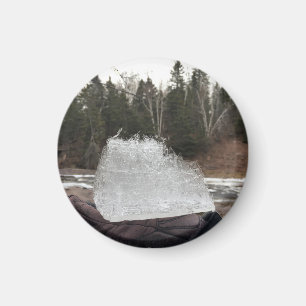 Magnet