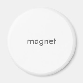Magnet