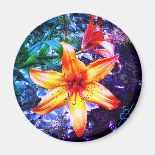 MAGNET 1DAYLILLY