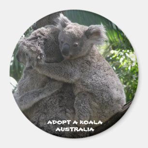 Magnet Adoptiere ein Koala Australien ZIZZAGO