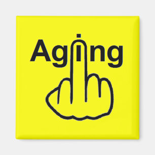 Magnet Aging Gedreht