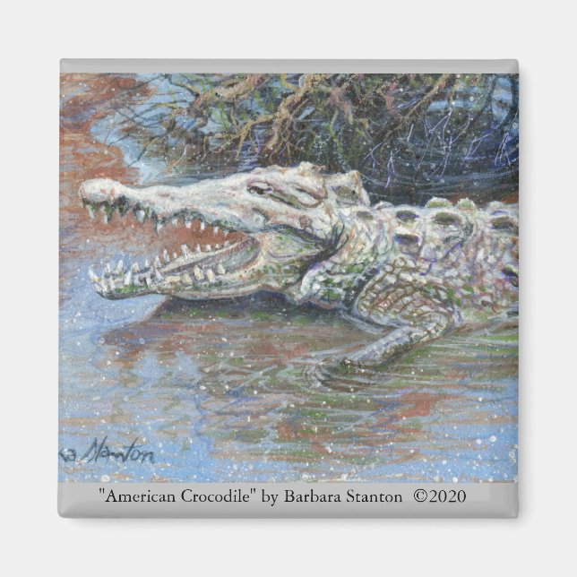 Magnet "American Crocodile" (Vorne)