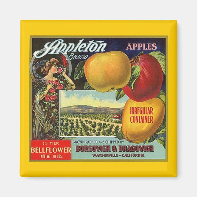 MAGNET ~ APPLETON BRAND APPLES VINTAGES OBSTETIKET (Vorne)