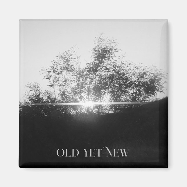 MAGNET ART&DESIGN DEKORATION (Vorne)