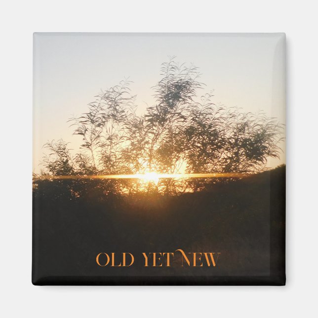 MAGNET ART&DESIGN DEKORATION STYLES (Vorne)