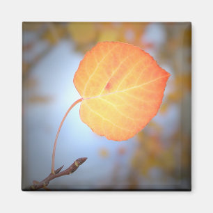 Magnet-Aspen Leaf Magnet
