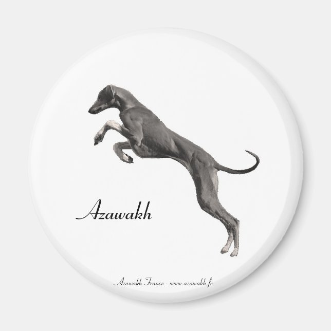 MAGNET Azawakh 2 (Vorne)