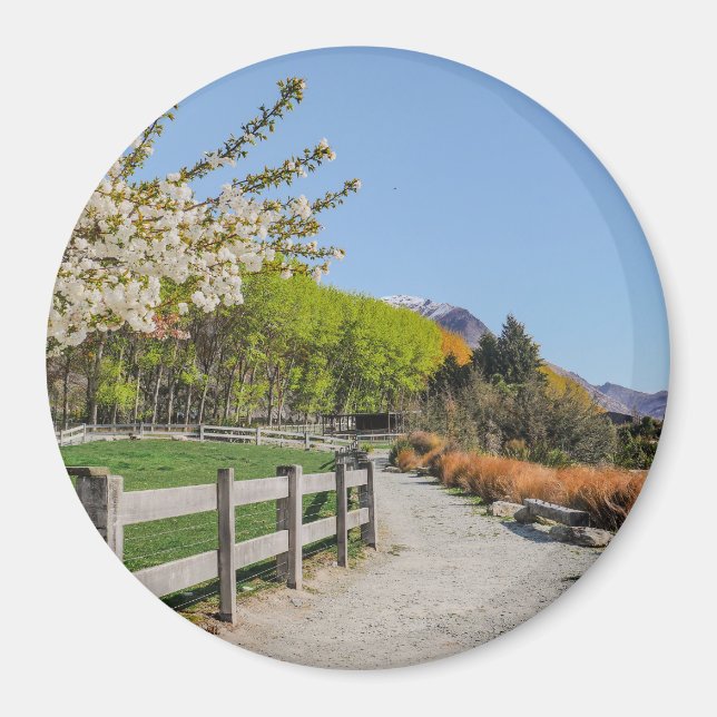 Magnet - backdrop of Walter's peak (Vorne)