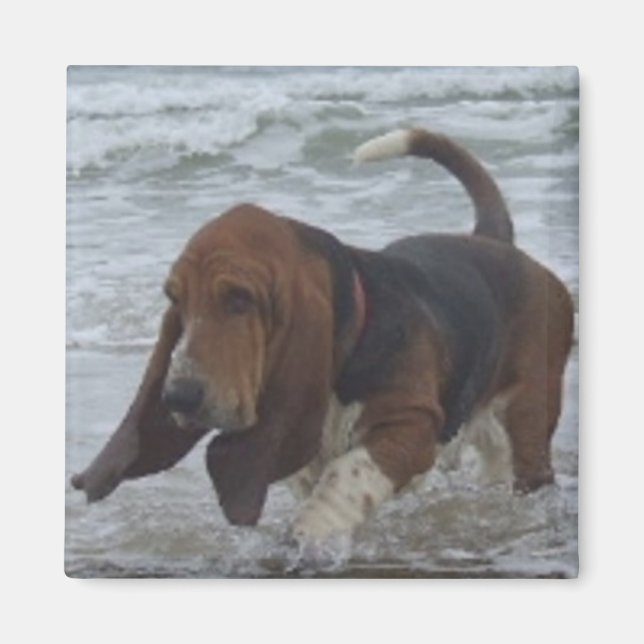 Magnet Basset Hound am Meer (Vorne)