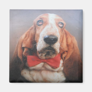 Magnet Basset Hound roter Fliege