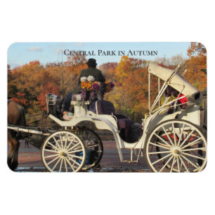 Magnet — Beförderung im NYC Central Park