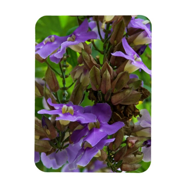 Magnet - Blue Ginger (Vertikal)