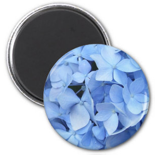Magnet - Blue Hydrangea