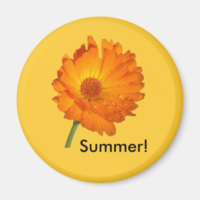 Magnet - Calendula an Steppe (Vorne)