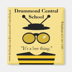 Magnet DCS Beeman