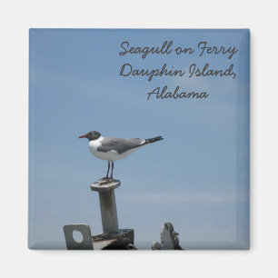 Magnet der Dauphin-Insel-, Alabama