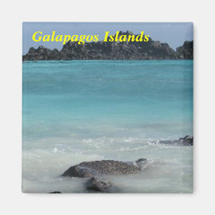 Magnet der Galapagos-Inseln