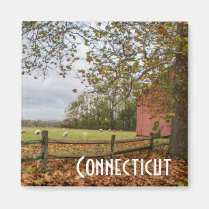 Magnet der Herbstfarm Connecticut