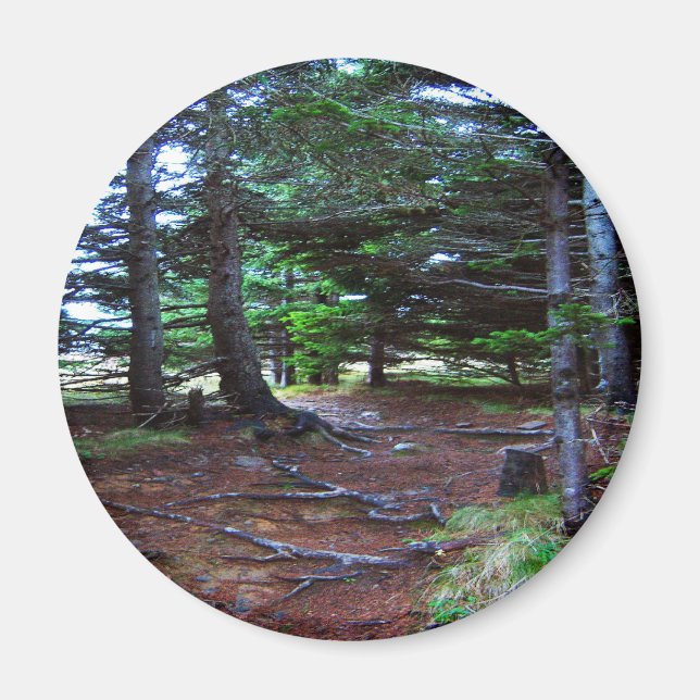 Magnet der Naturtreppe (Vorne)