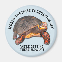 Magnet der World Tortoise Foundation