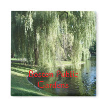 Magnet des Boston Public Garden