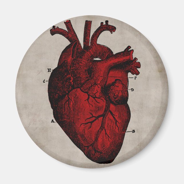 Magnet des menschlichen Herzens (Vorne)