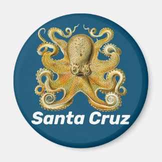 Magnet des Santa Cruz-Kühlschranks