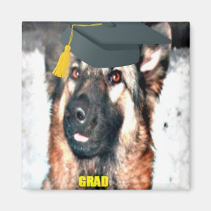 Magnet Deutscher Schäferhund Absolvent