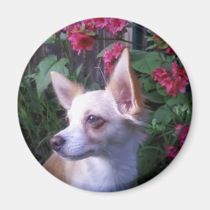 Magnet "Eigenes Foto hinzufügen"