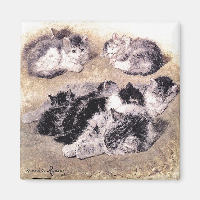 Magnet: Eine Studie über Katzen Magnet (Vorne)