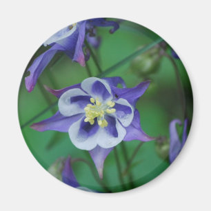 Magnet für Blume in Blau und Weiß