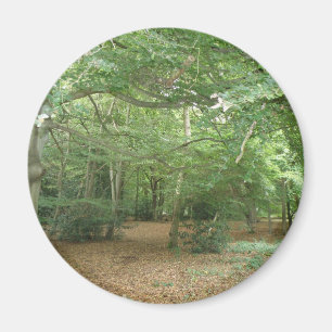 Magnet für die Holzaufbereitung