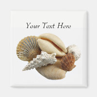 Magnet für gemischte Seashell-Fotos