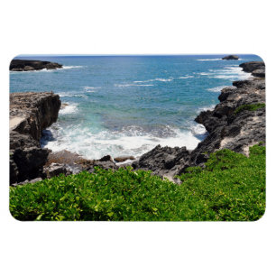 Magnet für hawaiianisches Foto