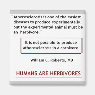 Magnet für Herzattacken