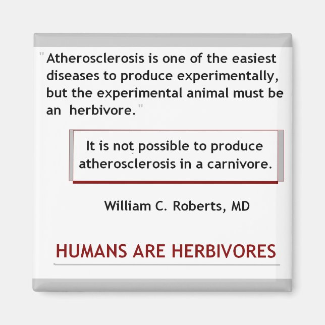 Magnet für Herzattacken (Vorne)