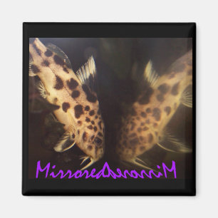 Magnet für Katfische (gespiegelt)