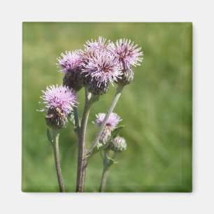 Magnet für lila Blume Foto