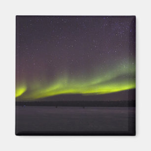 Magnet für Nordlichter