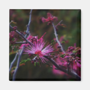 Magnet für rosa Märchen