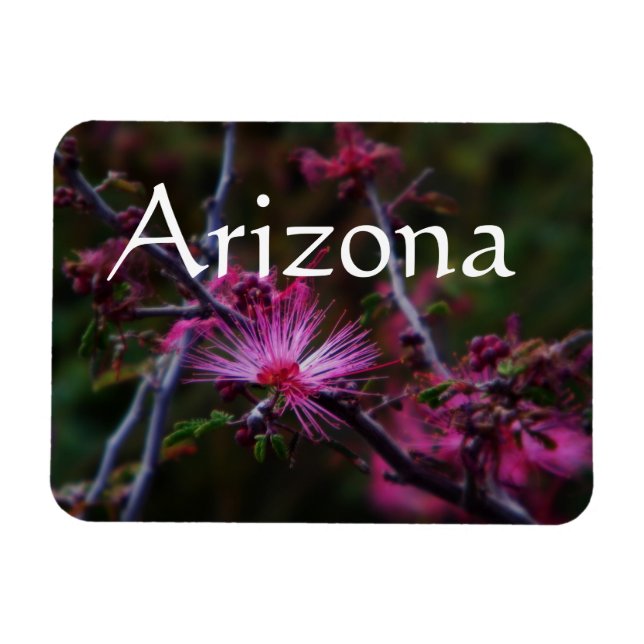 Magnet für rosa Märchenduster, Arizona Magnet (Horizontal)