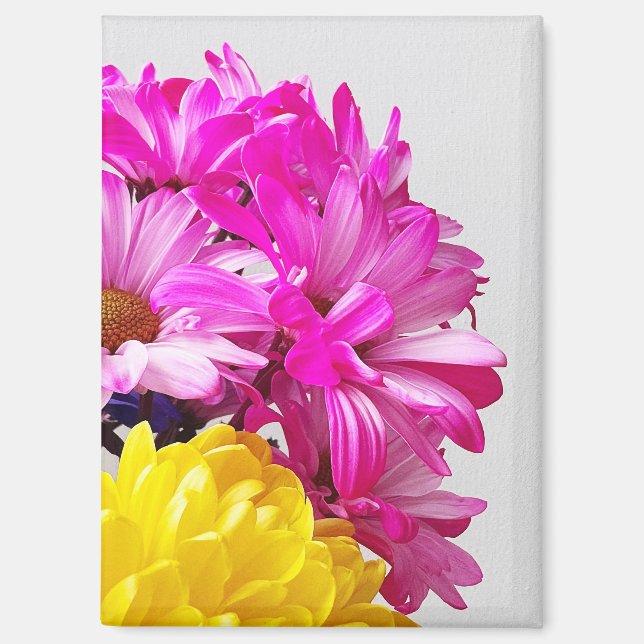 Magnet für Rosa und Gelbe Blumen - Die Abs von Mar (Vorderseite)