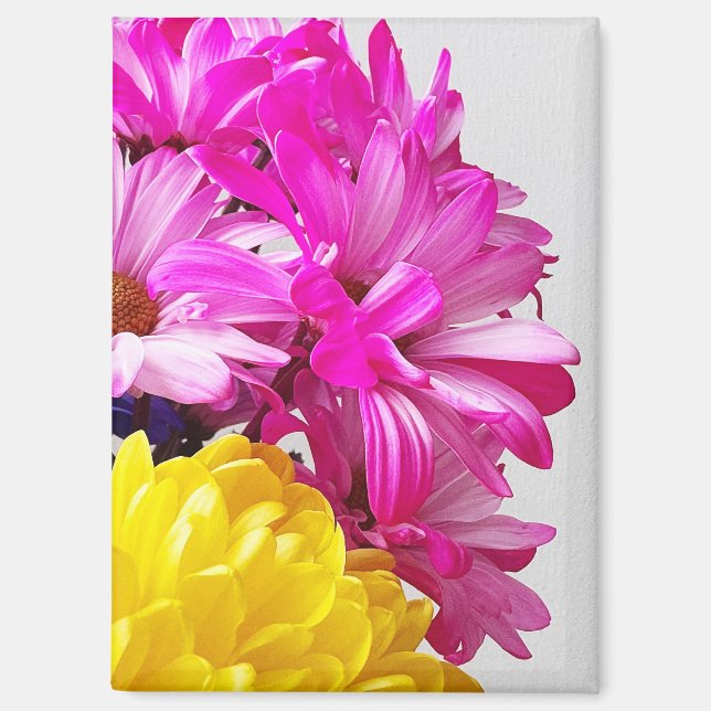 Magnet für Rosa und Gelbe Blumen - Die Abs von Mar (Vorderseite)