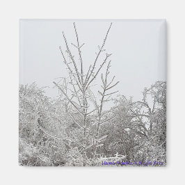Magnet für Schnee und eisbedeckte Bäume #1