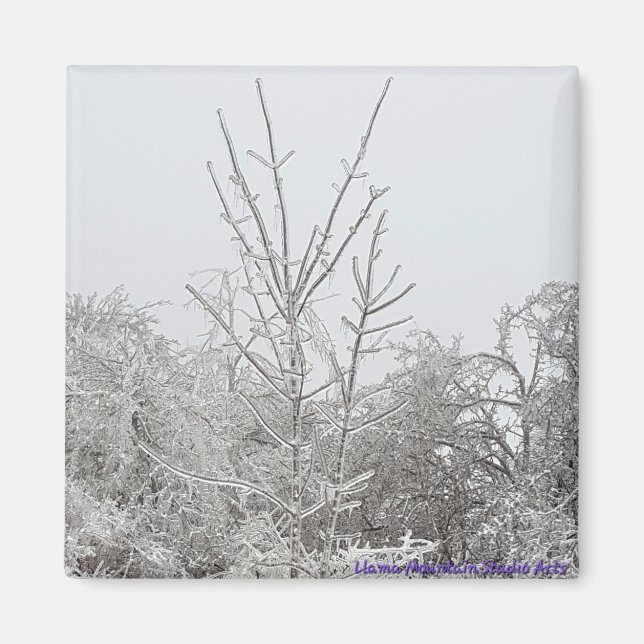 Magnet für Schnee und eisbedeckte Bäume #1 (Vorne)