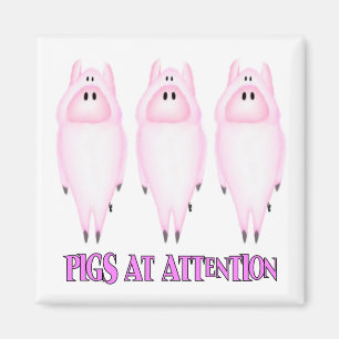 Magnet für Schweine