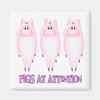 Magnet für Schweine
