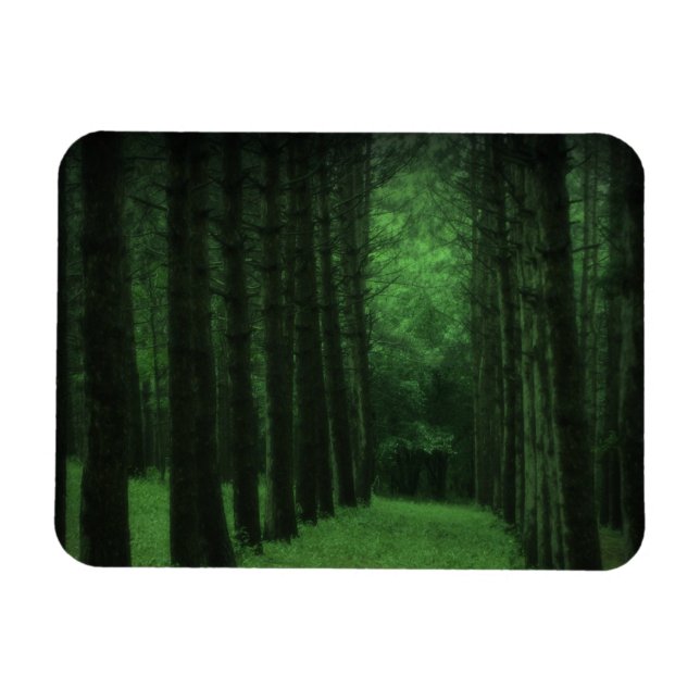 Magnet für verzauberte Wälder (Horizontal)