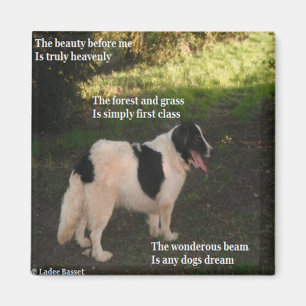 Magnet Gedicht Jegliche Hunde träumen Ladee Basset